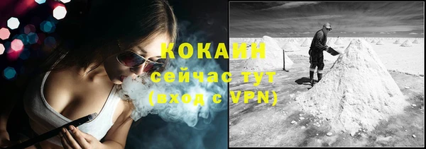 a pvp Ельня
