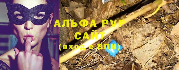 a pvp Ельня