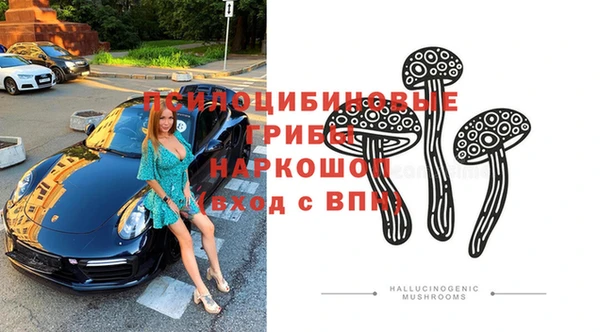 a pvp Ельня