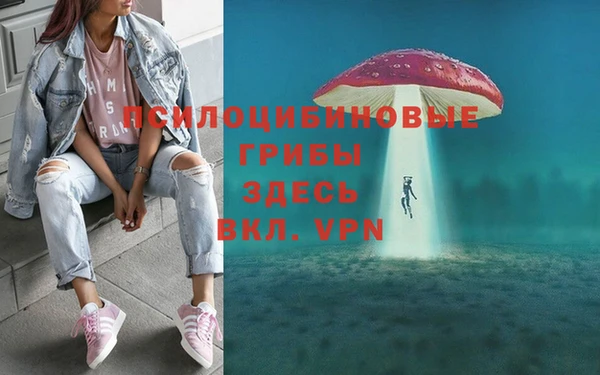 ГАЛЛЮЦИНОГЕННЫЕ ГРИБЫ Елизово
