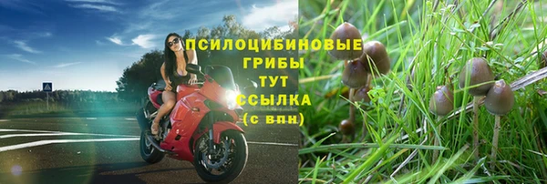 a pvp Ельня