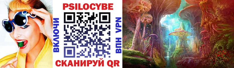 Купить  Егорьевск  Псилоцибиновые грибы Psilocybine cubensis 